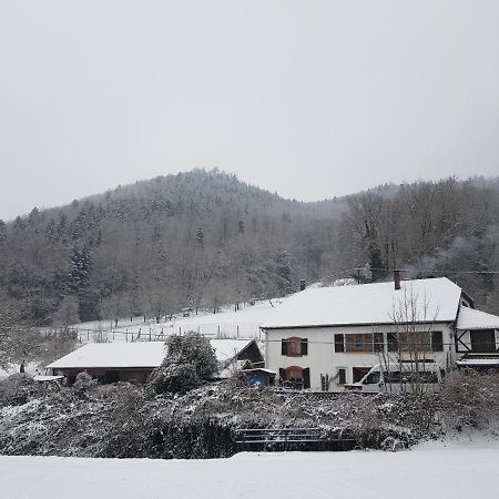 Gite Le Creux Chene Rombach-le-Franc エクステリア 写真