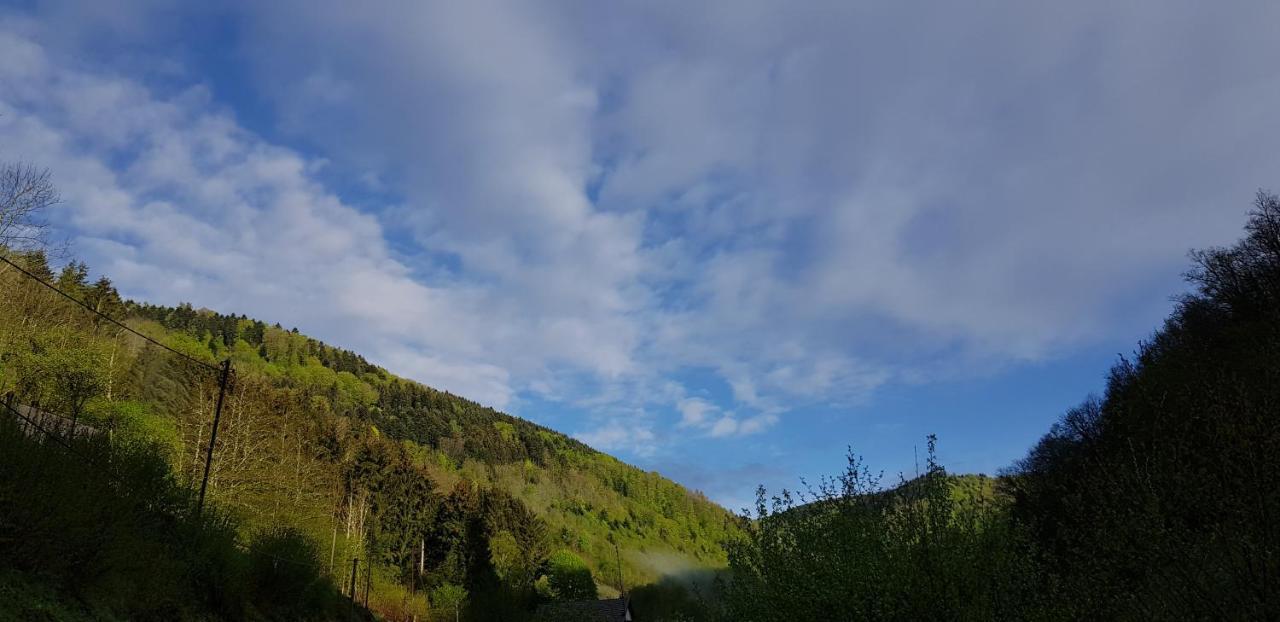 Gite Le Creux Chene Rombach-le-Franc エクステリア 写真