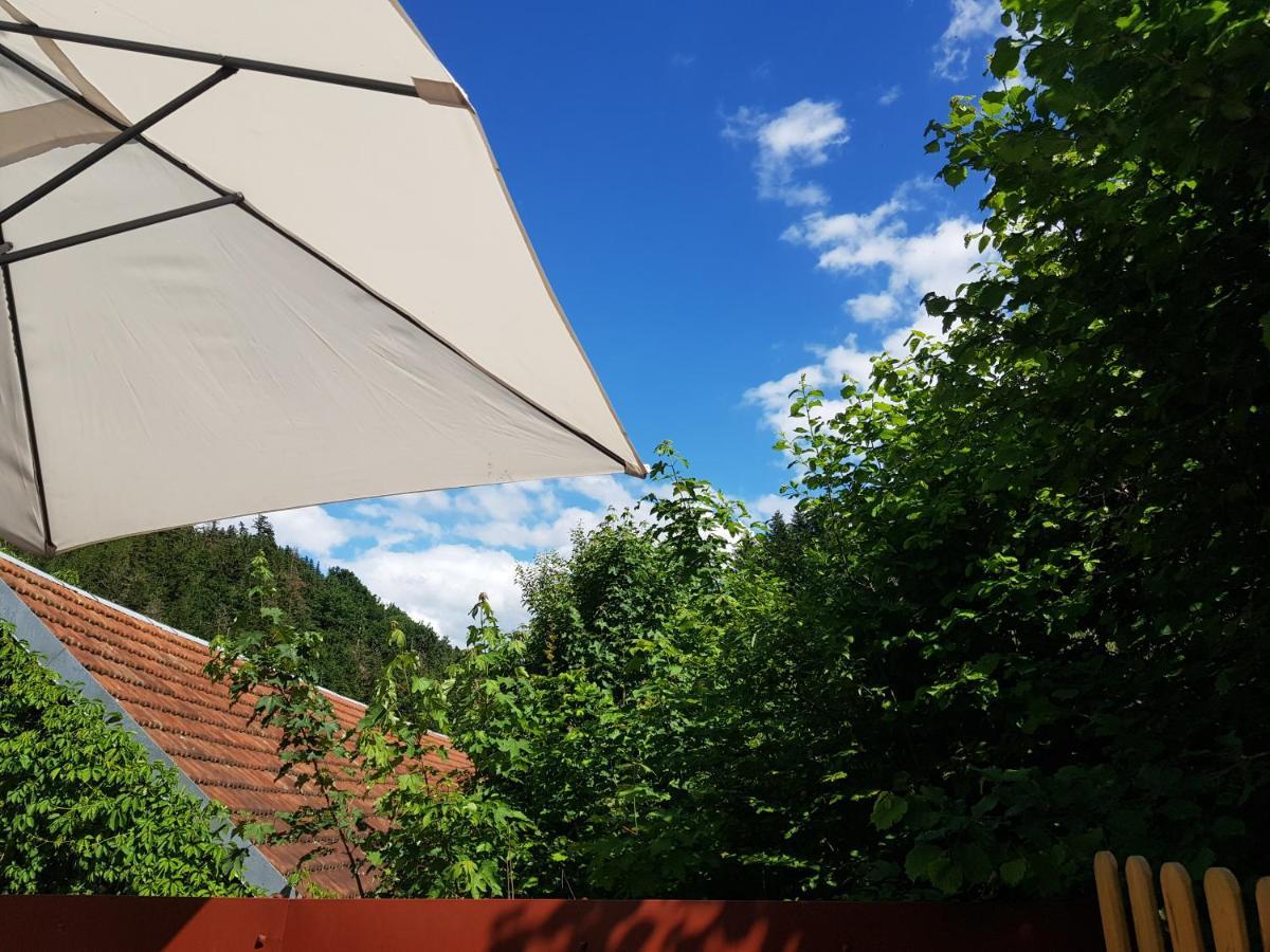 Gite Le Creux Chene Rombach-le-Franc エクステリア 写真