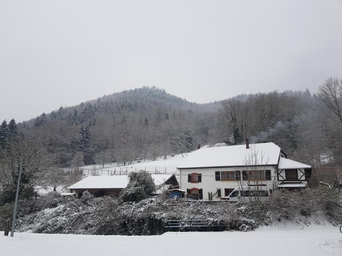 Gite Le Creux Chene Rombach-le-Franc エクステリア 写真